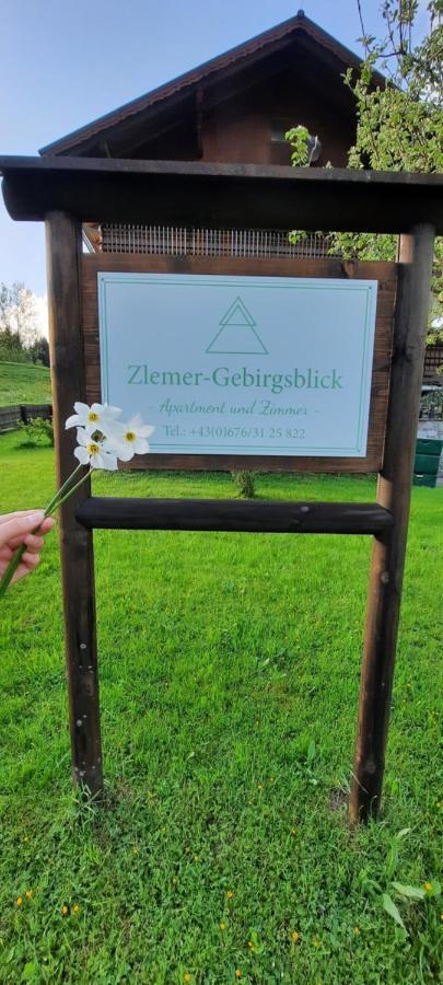 Zlemer - Gebirgsblick Tauplitz Ngoại thất bức ảnh